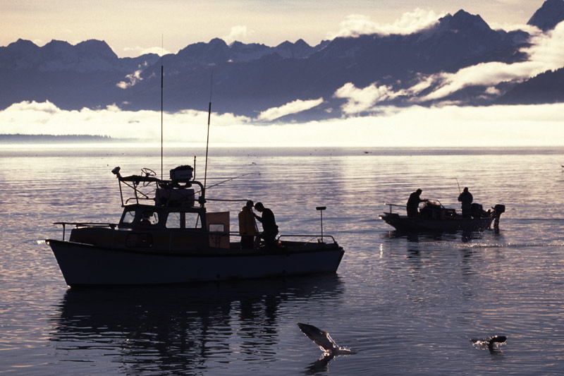 How to Use Downrigger: Basics - Fish Alaska Magazine