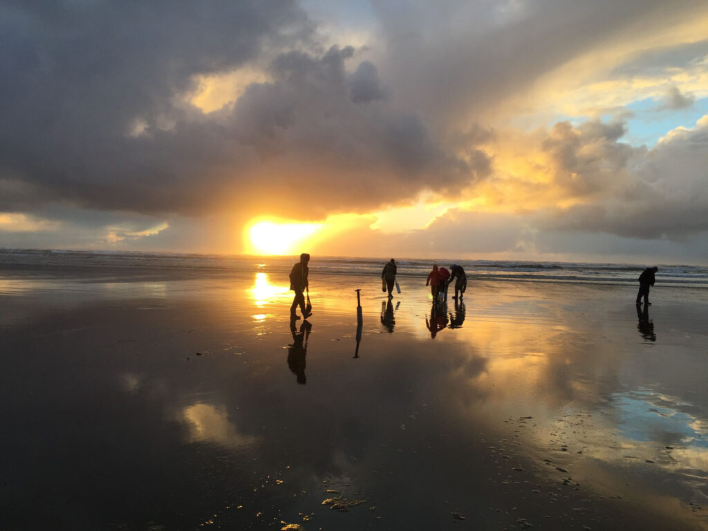 Razor Clam Digging